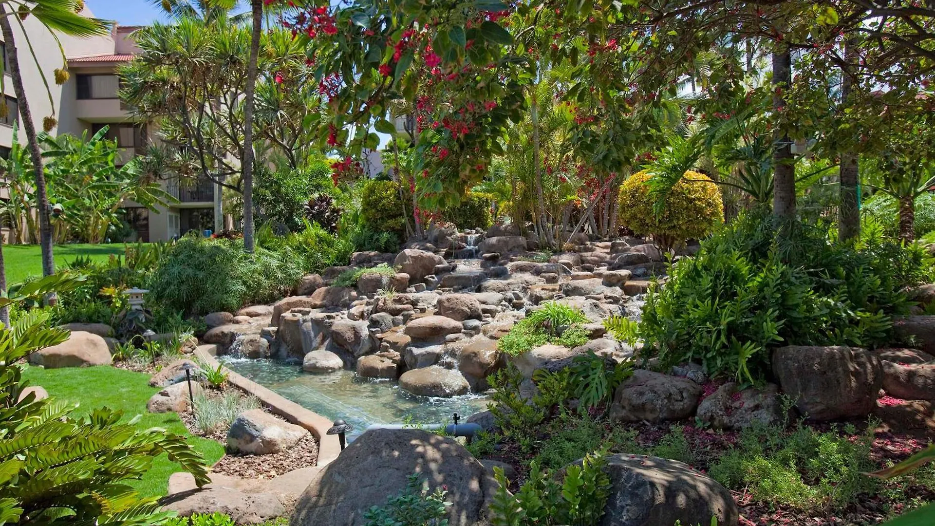 Kamaole Sands 4-213 Wailea  United States
